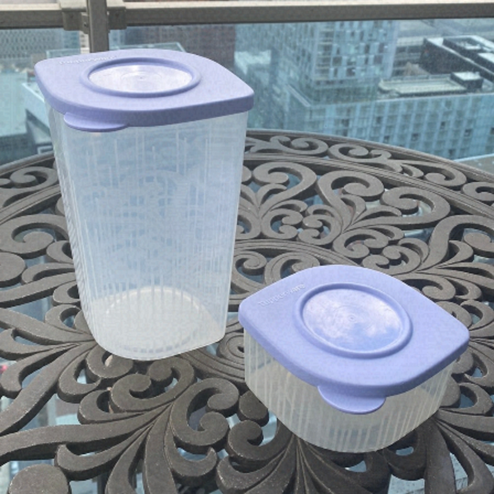 Tupperware set of 2 Fresh 'N Cool containers / 2 plats Tupperware